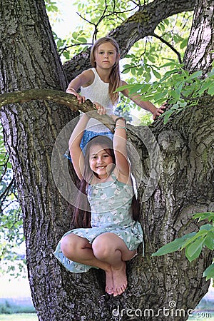 Little kids - girls standing on tree Stock Photo