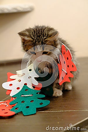 Little kitten with Christmas tree felt toys. The cat is playing with faiths and got confused in the decor Stock Photo