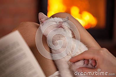 Little kitten enjoying massage lying in owner lap - sitting together by the fire Stock Photo