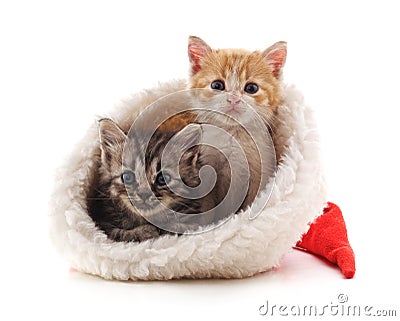 Little kittens in a Christmas hat Stock Photo