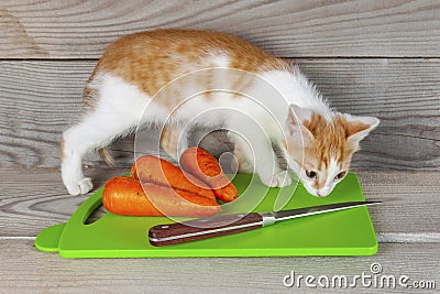 Little kitty climbed on the table with vegetables Stock Photo