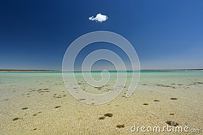 Little lagoon. Denham. Shark Bay. Western Australia Stock Photo