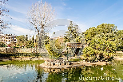 Little lake with ducks in an urban public park, Italy Stock Photo