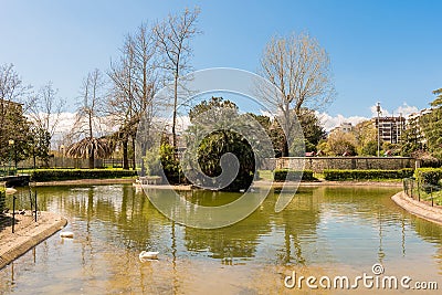 Little lake with ducks in an urban public park, Italy Stock Photo