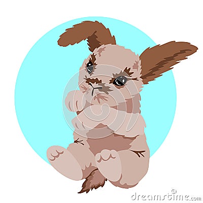 Little light cute rabbit. Home pet Vector Illustration