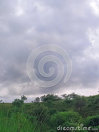 The little looking trees beyond the grass above the mountain Stock Photo