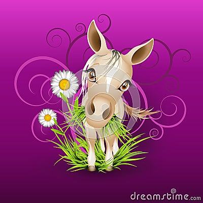 Little mare in grass over purple Vector Illustration