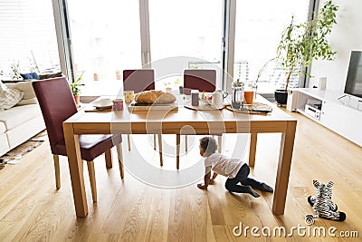 Little mixed-race girl at home under the kitchen table. Stock Photo