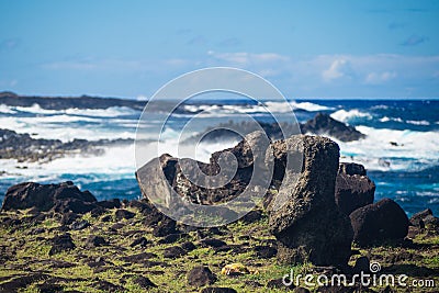 Little moai near Ahu Akahanga in easter island fallen moais Stock Photo