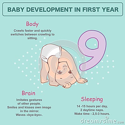Little newborn baby of 9 months. Development infographics Vector Illustration