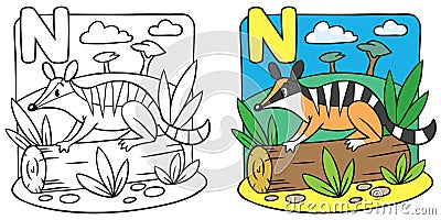 Little numbat coloring book. Alphabet N Vector Illustration