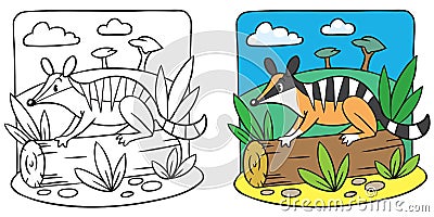 Little numbat coloring book Vector Illustration