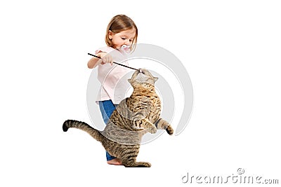 Little owner plays with her cat Stock Photo