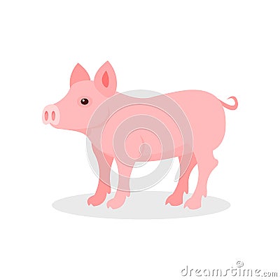 Little piglet, farm animal vector Illustration on a white background Vector Illustration