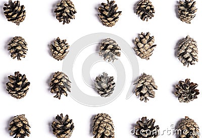 Little pine cones on a white background with shadows for christmas decoration Stock Photo