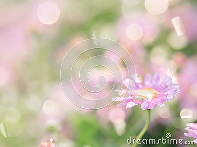 little pink flower in close up with raindrop in green background for space Stock Photo