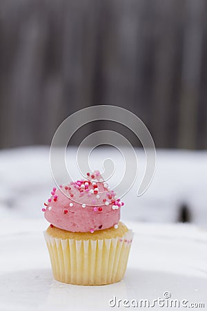 Little Pink Mini Cupcake in Snow Stock Photo