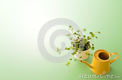 Little plant and yellow watering can Stock Photo