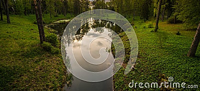 Little pond in forest Stock Photo