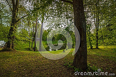 Little pond in forest, charming spring Stock Photo