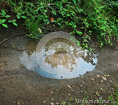 Little pond Stock Photo