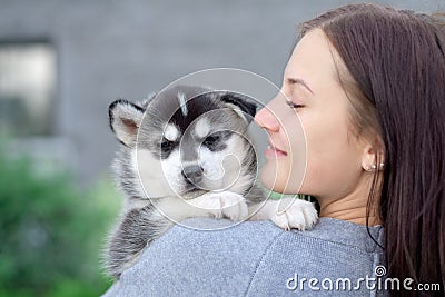 Little pretty husky puppy outdoor in womans hands Stock Photo