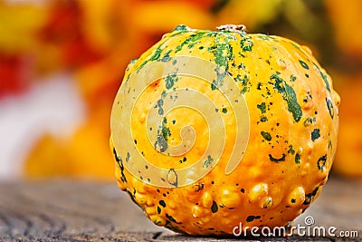 Little pumpkin Stock Photo