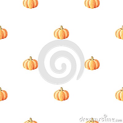 Little pumpkins seamless pattern. Watercolor illustration. Isolated on a white background Cartoon Illustration