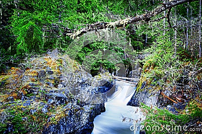 Little Qualicum Falls Provincial Park Stock Photo