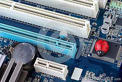 Little red ladybug on a blue motherboard. Concept of computer virus or bug, system failure, problem with technology, software Stock Photo