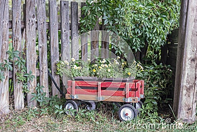 little red wagon of flowers in garden Stock Photo