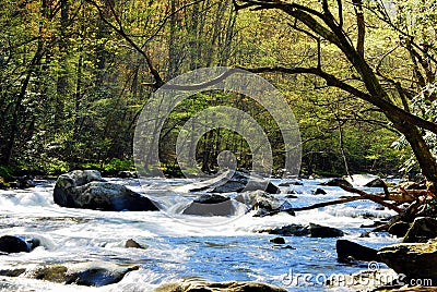 Little River. Stock Photo