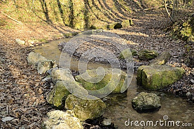 Little rivulet and stones Stock Photo
