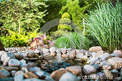 Little Garden Pond Stock Photo