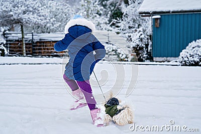Little school girl playing with little maltese puppy outdoors in winter. Happy child and family dog having fun with snow Stock Photo