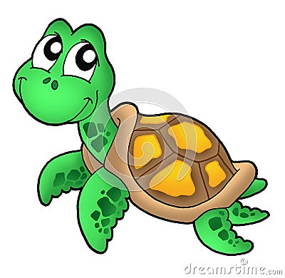 Little sea turtle Cartoon Illustration