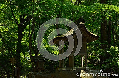 Little shrine in woods, Kyoto Japan. Stock Photo