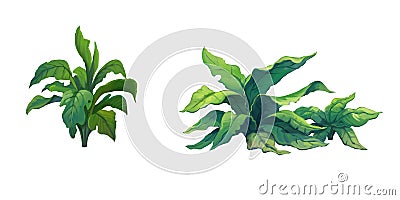 Illustration shrub for cartoon isolated on white background Stock Photo