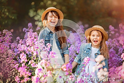 Little sisters outdoor portrait in a pink meadow Stock Photo