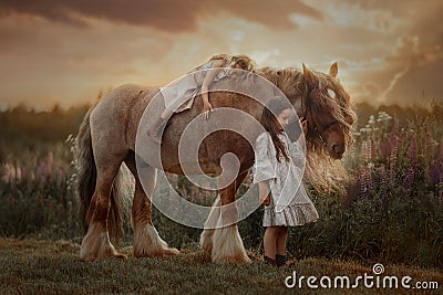 Little sisters walking with horse in a pink meadow Stock Photo