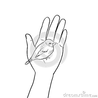 Bible Quotes Little Sparrow in caring hand Stock Photo