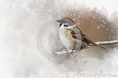 Little sparrow resting on a branch. Watercolor Digital Painting vintage effect. Bird illustration Cartoon Illustration