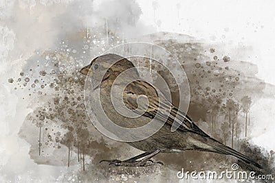 Little sparrow Watercolor Digital Painting vintage effect. Bird illustrationLittle sparrow Watercolor Digital Painting vintage Cartoon Illustration