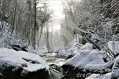 Mullerthal, Luxembourg - January 2024 - A small river in the forest under snow Stock Photo