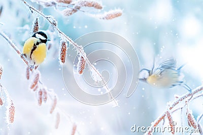 Little tits in a fairy-tale snowy forest. Christmas image. Winter wonderland. Stock Photo