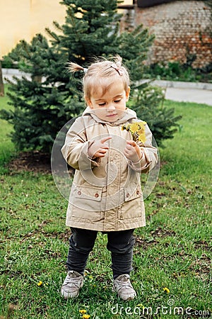 Little toddler baby girl in trench coat picking yellow dandelions in spring garden. Cute baby girl enjoying the simple Stock Photo