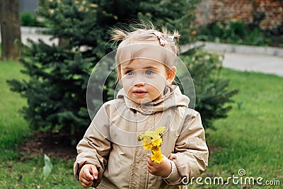 Little toddler baby girl in trench coat picking yellow dandelions in spring garden. Cute baby girl enjoying the simple Stock Photo