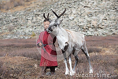 Little tsaatan boy playing with his family`s reindeer. Stock Photo