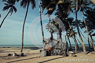 Little vietnamese house on seacoast among palms Stock Photo