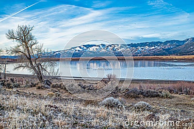 Little Washoe Lake near Reno, Nevada with a flock of pelicans during late winter or early spring. Stock Photo